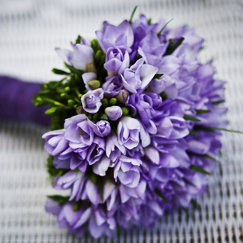 Violetin / lilan sävyinen kukkakimppu.